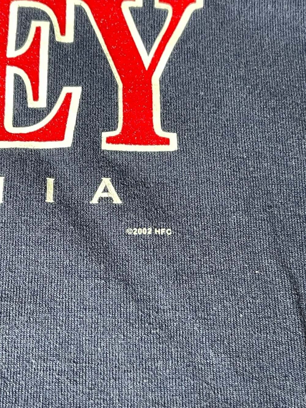 Vintage 2002 Hershey Pennsylvania Flavor of Fun Graphic T-Shirt XL - Picture 2 of 5